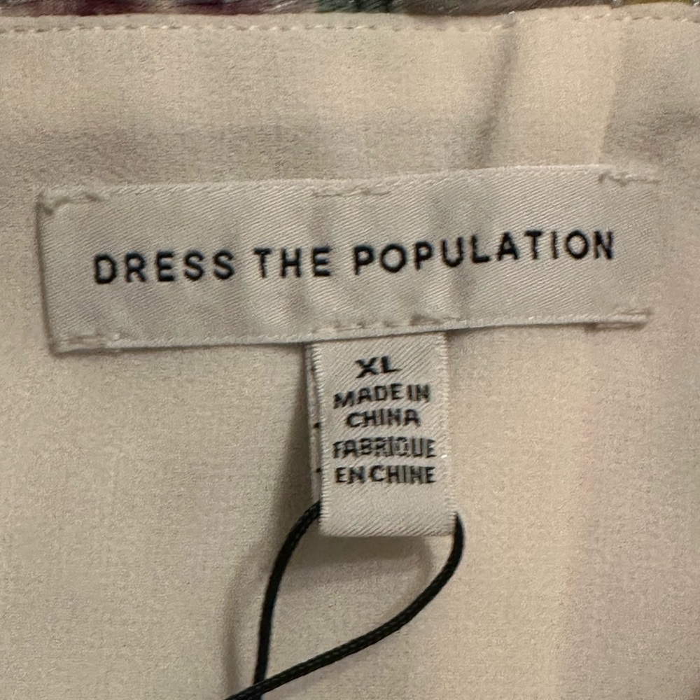 NWT DRESS THE POPULATION Josefina Dress Floral
Ruffle Detail Gown in Ivory Multi - Picture 13 of 16
